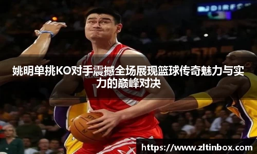 姚明单挑KO对手震撼全场展现篮球传奇魅力与实力的巅峰对决